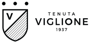xVIGLIONE.png.pagespeed.ic.34DGDkCH4s